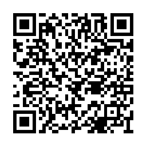 他们甚至会给自己想做的基础性研究批一张外皮二维码生成