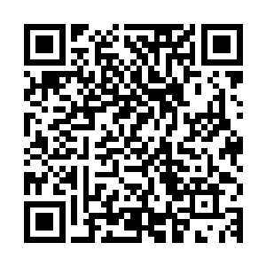 他们甚至已经忘记了到底多久没有看到雨果对待记者如此友善了二维码生成