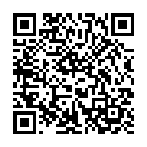 他们甚至能在树与树之间踩着细弱不堪的树枝健步如飞二维码生成