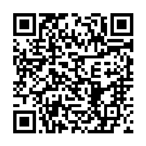 他们甚至都没有精力去想为什么许紫烟不再发出寂灭二维码生成