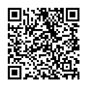 他们白角族是不是打算从此就跟无角人搅合在一起了二维码生成