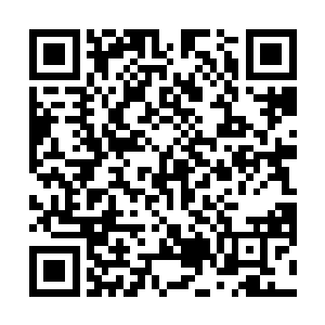 他们的亲人和敌人我只需要将这些数据搜集并存储起来二维码生成