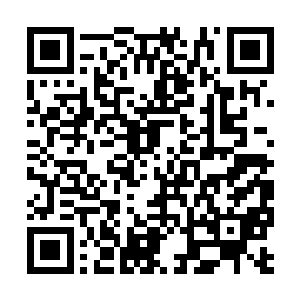 他们的仙乐有时候可不是只能在战斗的时候才用的二维码生成