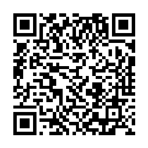 他们的任务就是随时为将军府提供各种有价值的情报二维码生成