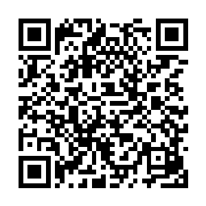 他们的宗门都不像鬼祖城这样可以容乃百万人入住二维码生成