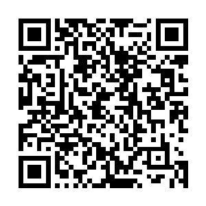 他们的实力还在可控的范围内――至于那名沉睡的半神巫妖二维码生成
