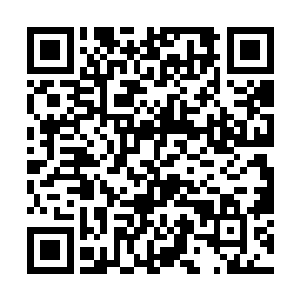 他们的心中都在担心自己的族长是否会在陨石带出事二维码生成