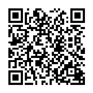他们的整个家族都要为自己当初的愚蠢和不识时务埋单二维码生成