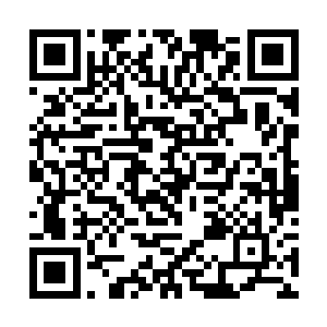 他们的眼神带着浓厚的兴趣之色望着广场上的两方人二维码生成