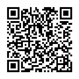 他们的身上的灵力在不断的朝着黑白两条鱼上转移过去二维码生成