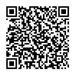 他们的身体连同随身携带着的兵器和盾牌都被切成了碎肉一般的尸块二维码生成