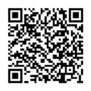 他们的这个院子肯定会被毒蝎佣兵团的人霸占的二维码生成