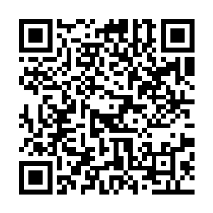 他们看上去是故意来闹事的……要不要我通知康斯坦丁大人二维码生成