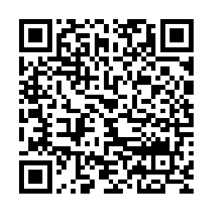 他们真的没有办法想象杨风的实力到底能达到什么样的高度来二维码生成