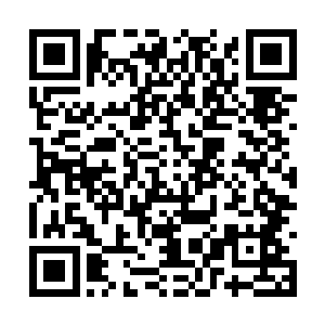 他们眼中的蝼蚁居然也敢这么猖狂的跟他们对话了二维码生成