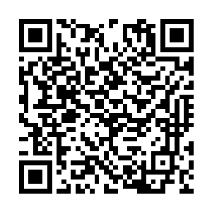 他们瞬间就将这些人的所有背景资料全都拿出来了二维码生成