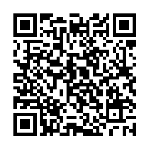 他们知道自己要从这些弟子中选一个成为自己的传人二维码生成