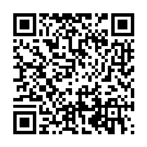 他们知道那个阵图如果在此时吸收了混沌兽的血肉二维码生成