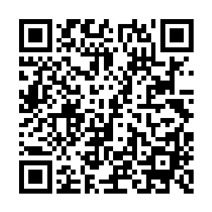 他们等于是把莱塔城大部分的兵力都用来突围了二维码生成