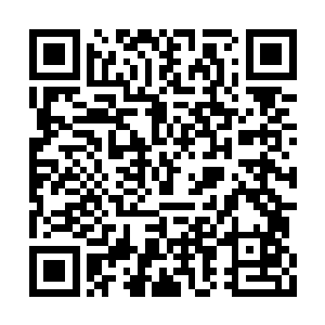 他们终于将这一处空间褶皱营造成了今天的面貌二维码生成