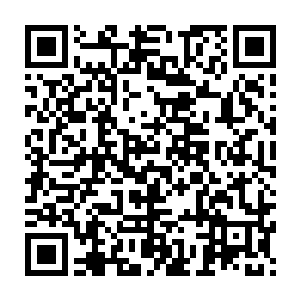 他们绝不会花几万晶币去购买还没有指甲盖大的小石头……美观吗二维码生成