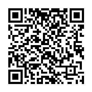 他们绝不承认天火皇会比他们这些老资格半圣榜强者更强二维码生成