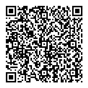 他们老祖宗跟那个半步鸿蒙大能战斗抢来的手稿啊……据说是太真门和还丹宗进阶天阶禁地势力的关键啊……嘿嘿……这年头二维码生成