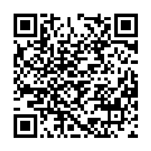他们肯定会很希望看到我们两个扭打在一起的模样二维码生成