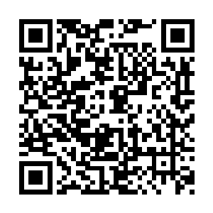 他们肯定会直接毫不迟疑的踏入这个金色的漩涡二维码生成