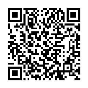 他们肯定是趁自己进阶的时候分离的神魂摆脱了契约二维码生成