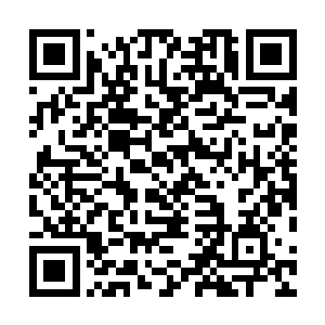 他们能认真交好东公子就行了――反正东公子能交出首级二维码生成