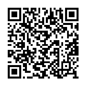 他们自然想起她和世峰界主对战时表现出的强大二维码生成