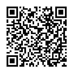 他们自认为自己的实力跟那些魔化生物相比也未必能强出多少二维码生成