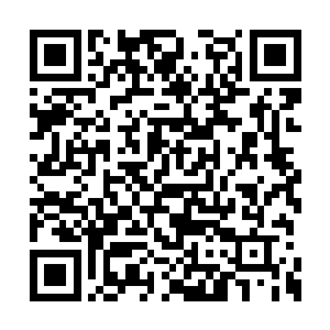 他们若是敢违背天道誓言做出一些不该做的事情二维码生成