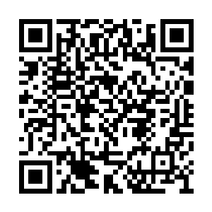 他们虽然不是很清楚秩序火种到底是用来干嘛的二维码生成
