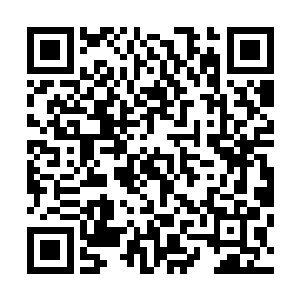 他们要想从树林外面将树林中的敌人消灭干净是非常困难的二维码生成