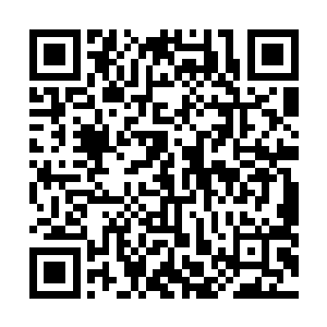 他们觉得自从自己跟了夏天之后的人生才算是真正的人生二维码生成