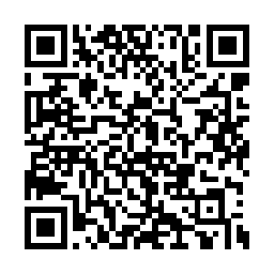 他们说是看到宋七公子不断在画晓夜小姐的画像二维码生成