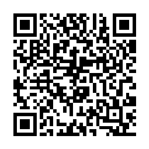 他们还不是像一只只苍蝇闻到了臭蛋一般地涌了上去二维码生成