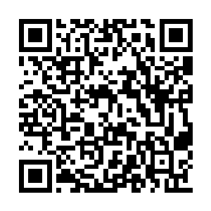 他们还把在他们领地活动的冷潇潇等人带了回来二维码生成