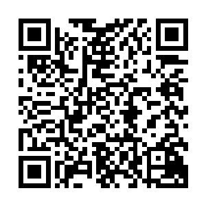 他们还是第一次见到和他们一样这么爱说话有说不完话题的人二维码生成