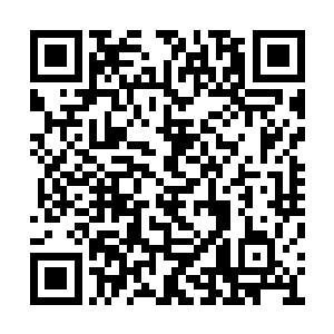 他们还没有强横到可以无视几十万的丧尸的力量二维码生成