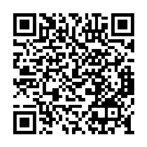 他们这些人也是腾娱出钱请他们来保护沈轻灵的二维码生成