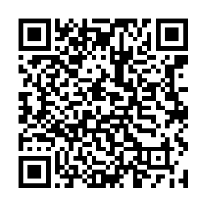 他们这些人在这些真正强大的人面前终究只是小人物二维码生成