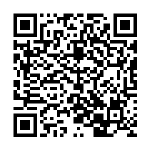 他们这些人曾经都去过各自领地内的神殿参悟过天级战斗圣法二维码生成