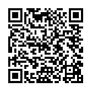 他们这些所谓的大陆实际上都是百族时代的仙界碎片二维码生成