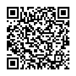 他们这是看出来紫烟布设的这个阵法是用符箓布设的二维码生成