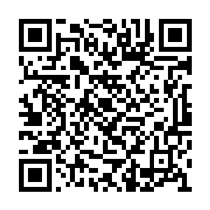 他们这样的人是不可能继续生活在普通人群之中二维码生成