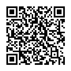 他们这身仙府里制式的奴婢白衣和奴仆青衣也穿了好几日了二维码生成