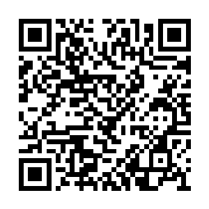 他们这边参予追捕行动的人员就先后发生了问题二维码生成